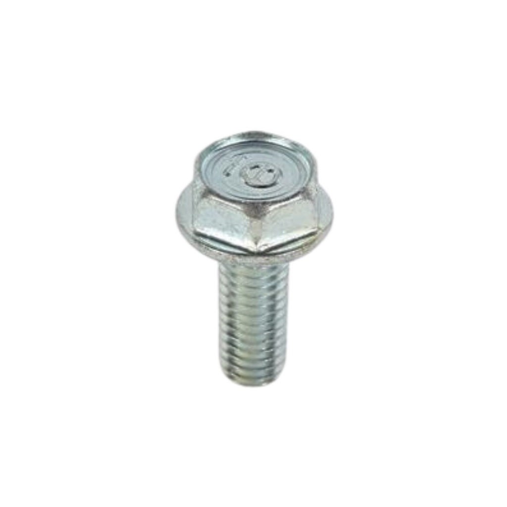 31. 95701-06016-00 TORNILLO 6X16