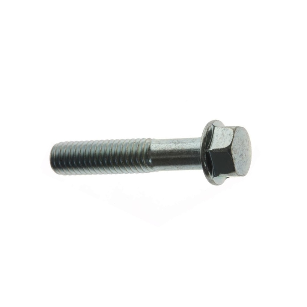 10. 96001-06030-00 TORNILLO HEXAGONAL 6X30
