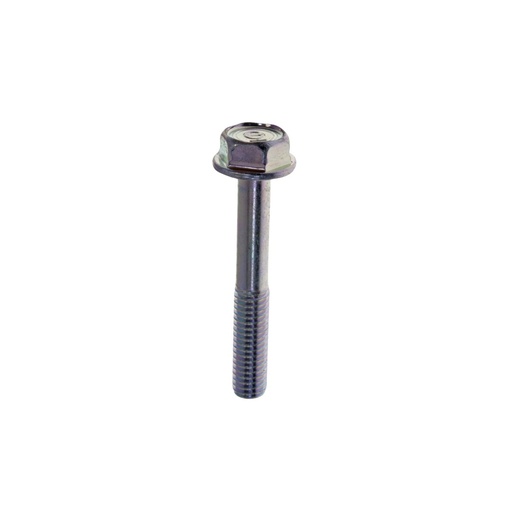 [95701-06030] 5. 95701-06030-00 PERNO BRIDA 6X30